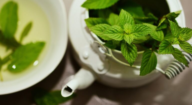 Abundant health benefits of mint.jpg