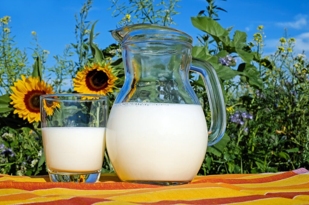 milk, Benefits of drinking milk at knightjpg